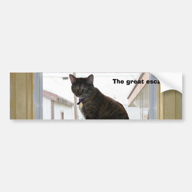 Autocollant De Voiture Adhésif pour pare-chocs, chat de calicot (Devant)