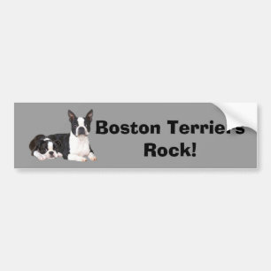 Autocollant De Voiture Adhésif pour pare-chocs d'amis de Boston Terrier