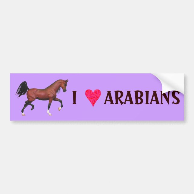 Autocollant De Voiture Adhésif pour pare-chocs d'art d'amant de cheval (Devant)