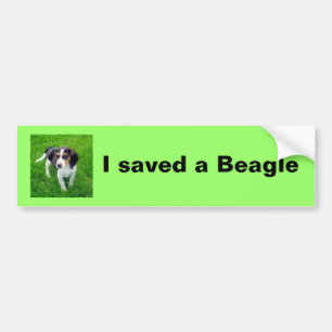 Autocollant De Voiture Adhésif pour pare-chocs de beagle