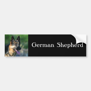 Autocollant De Voiture Adhésif pour pare-chocs de berger allemand