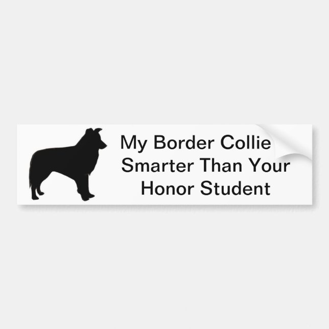 Autocollant De Voiture Adhésif pour pare-chocs de border collie (Devant)
