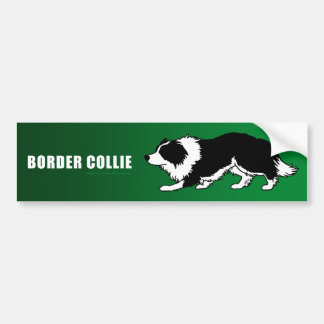 Autocollant De Voiture Adhésif pour pare-chocs de border collie