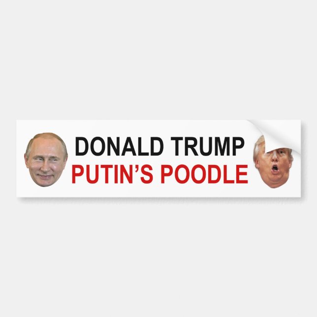Autocollant De Voiture Adhésif pour pare-chocs de caniche de Donald Trump (Devant)