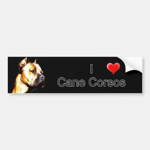 Autocollant De Voiture Adhésif pour pare-chocs de Corso de canne