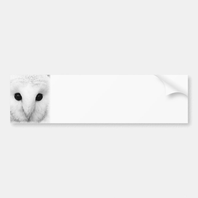 Autocollant De Voiture Adhésif pour pare-chocs de hibou de Milou (Devant)