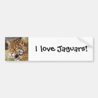 Adhésif pour pare-chocs de Jaguar