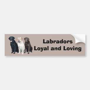 Autocollant De Voiture Adhésif pour pare-chocs de labrador retriever