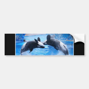 Autocollant De Voiture Adhésif pour pare-chocs de photo de baleine
