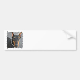 Autocollant De Voiture Adhésif pour pare-chocs de Pinscher de dobermann