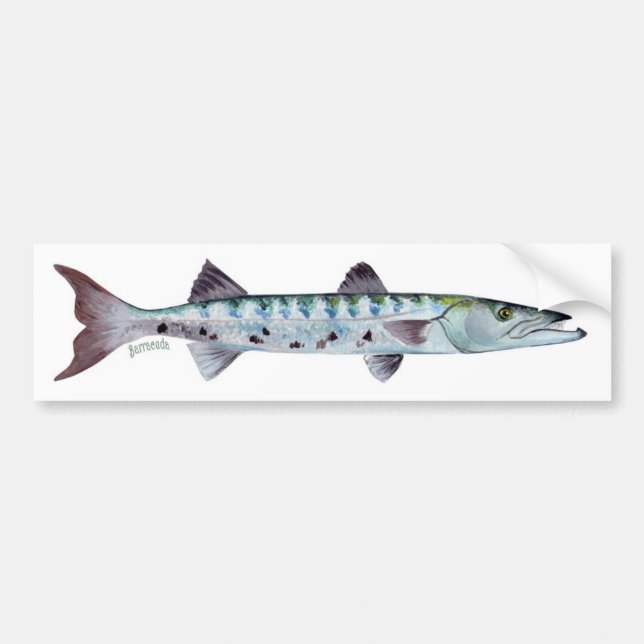 Autocollant De Voiture Adhésif pour pare-chocs de poissons de barracuda (Devant)