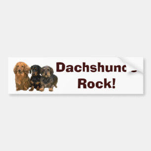 Autocollant De Voiture Adhésif pour pare-chocs de roche de teckels