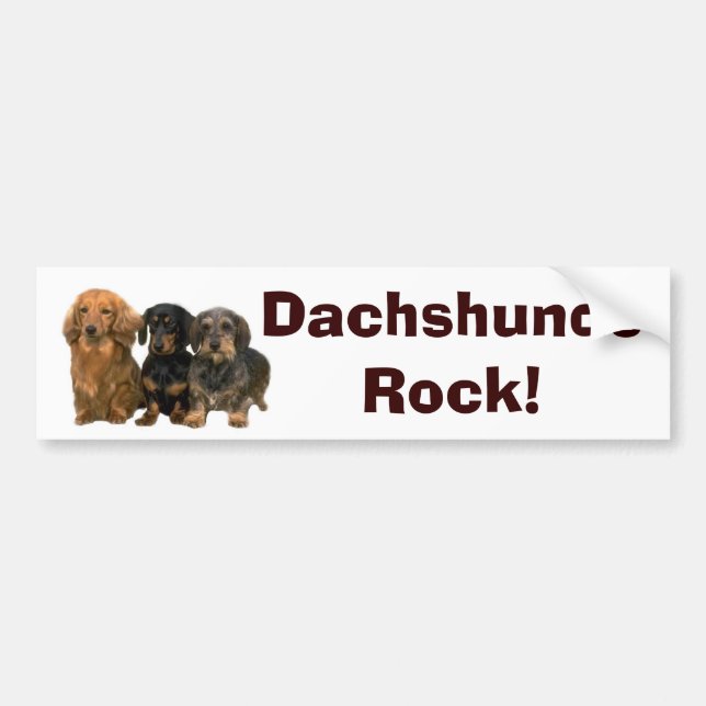 Autocollant De Voiture Adhésif pour pare-chocs de roche de teckels (Devant)