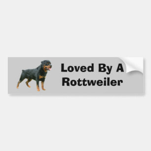 Autocollant De Voiture Adhésif pour pare-chocs de rottweiler