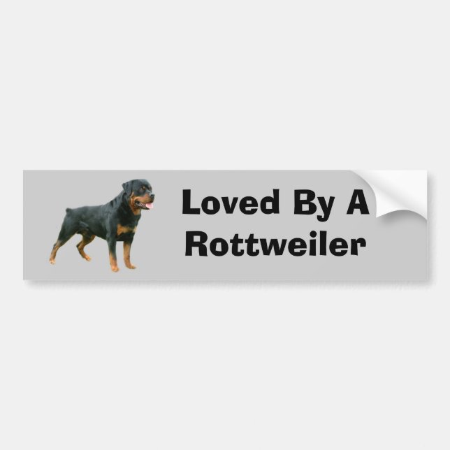 Autocollant De Voiture Adhésif pour pare-chocs de rottweiler (Devant)