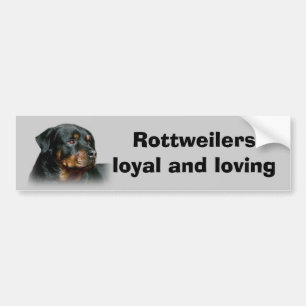Autocollant De Voiture Adhésif pour pare-chocs de rottweiler
