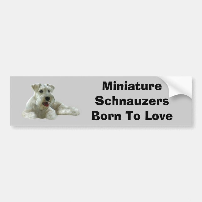 Autocollant De Voiture Adhésif pour pare-chocs de Schnauzer miniature (Devant)