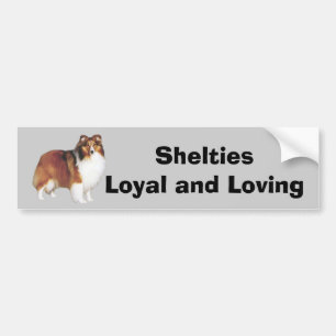 Autocollant De Voiture Adhésif pour pare-chocs de Sheltie
