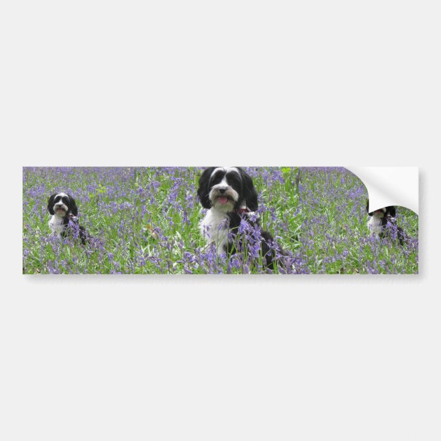 Autocollant De Voiture Adhésif pour pare-chocs de Terrier tibétain (Devant)