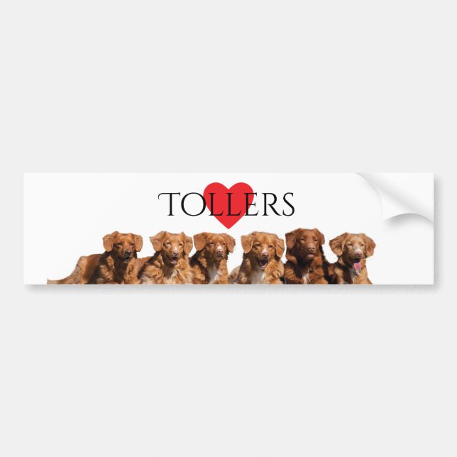 Autocollant De Voiture Adhésif pour pare-chocs de tintement de chien (Devant)