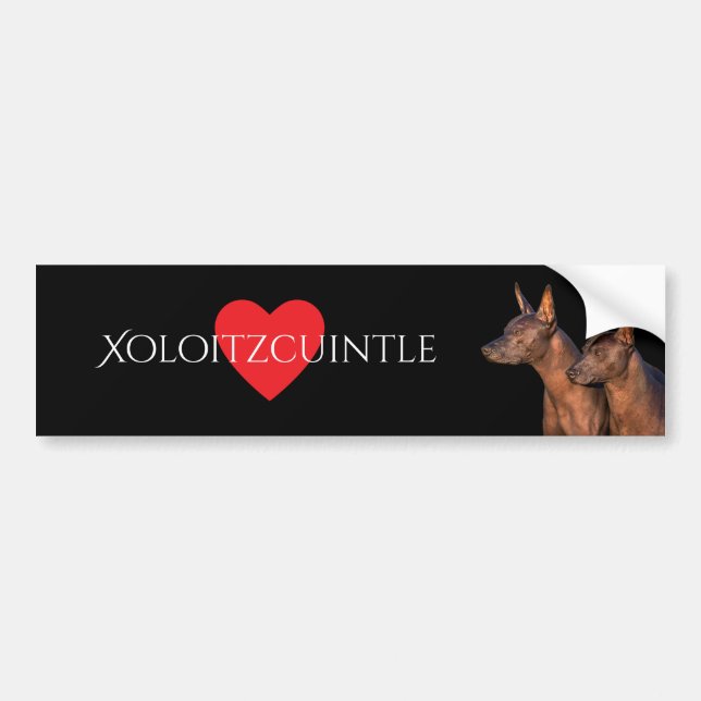 Autocollant De Voiture Adhésif pour pare-chocs de Xoloitzcuintle (Devant)