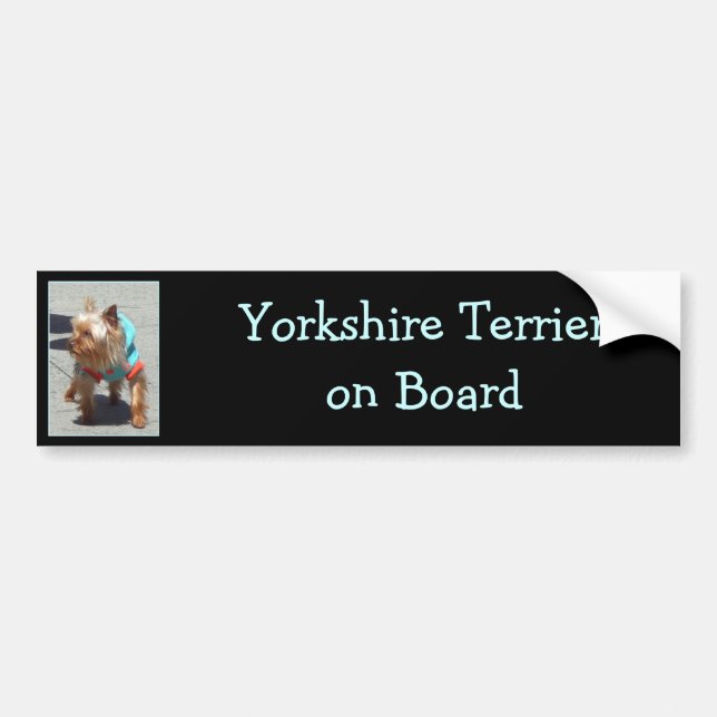 Autocollant De Voiture Adhésif pour pare-chocs de Yorkshire Terrier (Devant)