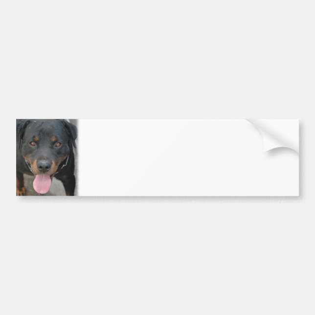 Autocollant De Voiture Adhésif pour pare-chocs d'image de rottweiler (Devant)