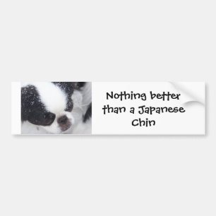 Autocollant De Voiture Adhésif pour pare-chocs japonais de menton