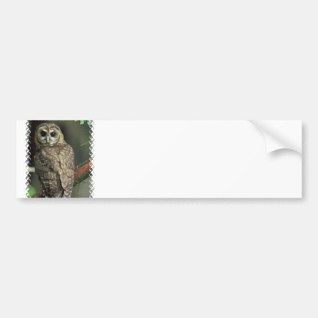 Autocollant De Voiture Adhésif pour pare-chocs repéré de hibou (Devant)