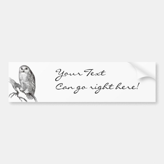 Autocollant De Voiture Adhésif pour pare-chocs vintage de hibou de Milou (Devant)