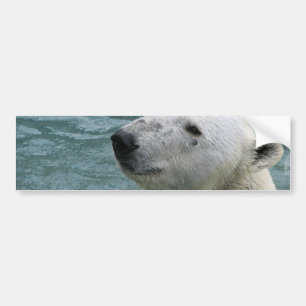 Autocollant De Voiture Adhésifs pour pare-chocs de profil d'ours blanc