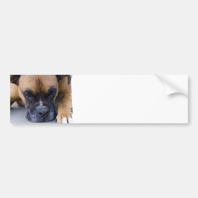 Autocollant De Voiture Adhésifs pour pare-chocs de repos de chien de (Devant)