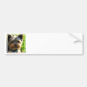 Autocollant De Voiture Adhésifs pour pare-chocs de Yorkshire Terrier