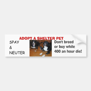 Autocollant De Voiture ADOPTEZ UN ANIMAL FAMILIER d'ABRI, stérilisez le