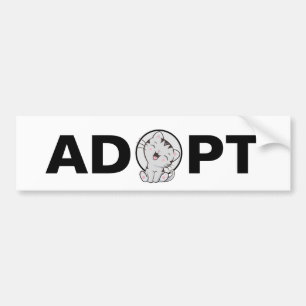 Autocollant De Voiture Adoptez un chevalet de protection pour chats migno