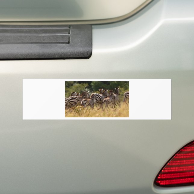 Autocollant De Voiture Africain Zebra cool (En voiture)
