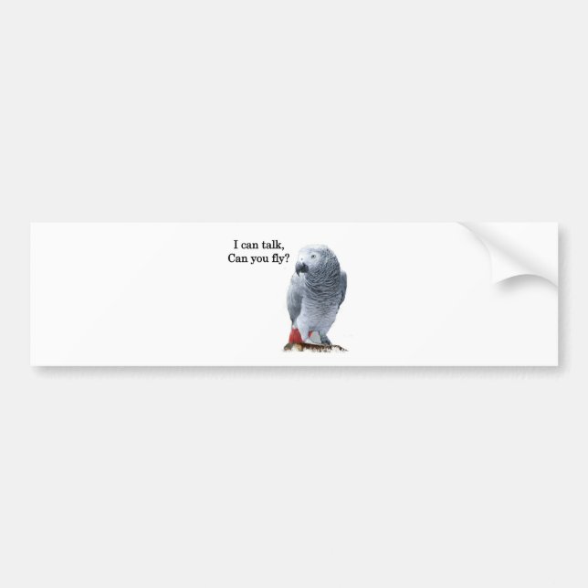 Autocollant De Voiture African Grey Je peux parler, peux-tu voler ? (Devant)