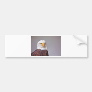 Autocollant De Voiture Aigle