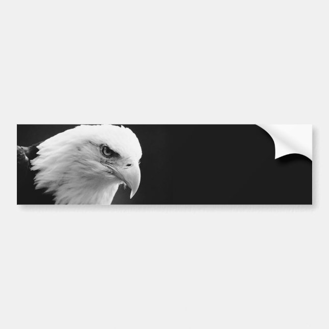 Autocollant De Voiture Aigle BW Bald (Devant)