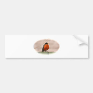 Autocollant De Voiture Américain animal Robin d'oiseau