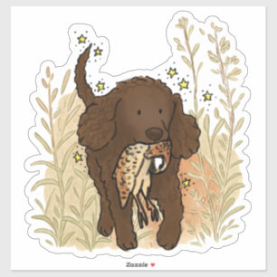 Autocollant de voiture American Water Spaniel
