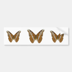 Autocollant De Voiture Amiral Butterfly