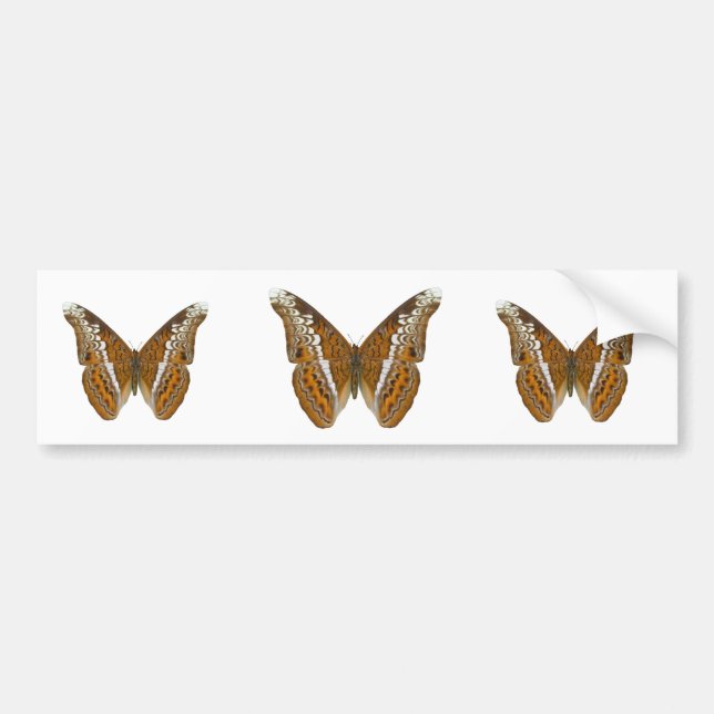 Autocollant De Voiture Amiral Butterfly (Devant)