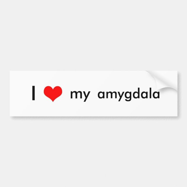 Autocollant De Voiture Amour de cerveau (Devant)