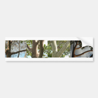 Autocollant De Voiture AMOUR, défini par des arbres