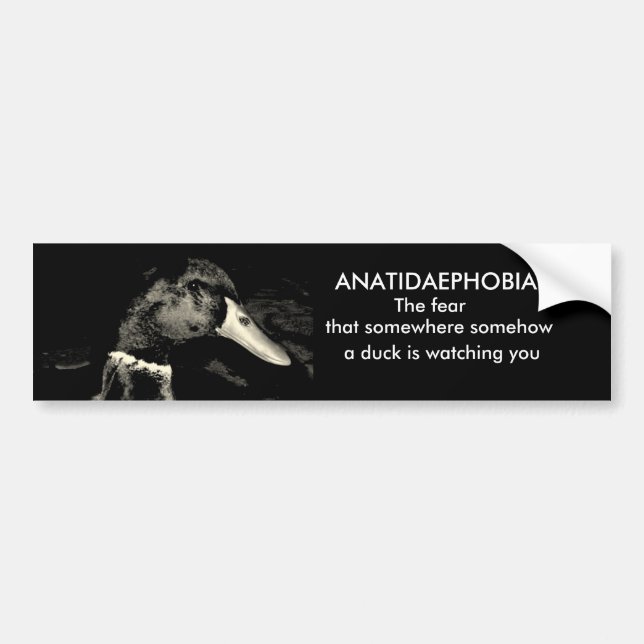 Autocollant De Voiture Anatidaephobia (Devant)