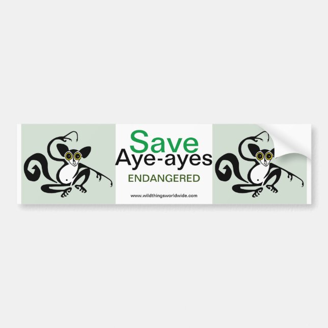 Autocollant De Voiture Animal en voie de disparition - Sauvez AYE-AYES -  (Devant)