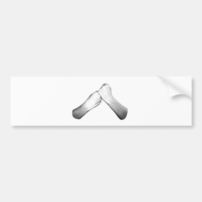 Autocollant De Voiture Appui dans l'ASL (Devant)