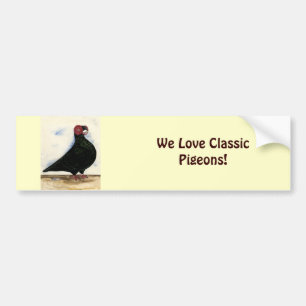 Autocollant De Voiture Aquarelle Barb Pigeon