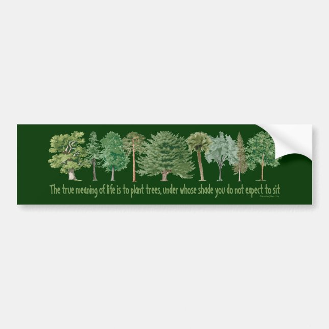 Autocollant De Voiture Arbres Plantes - Arbre, Gros (Devant)